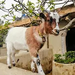 Ca Na Maria